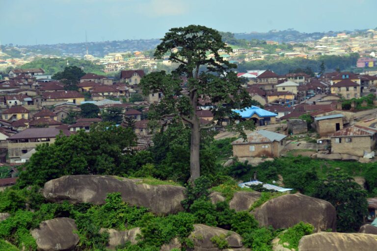 Tree_on_Olumo_Rock_in_Abeokuta,_Ogun_State-Nigeria